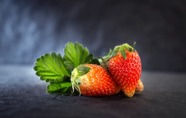 Leaves, Strawberry, berry