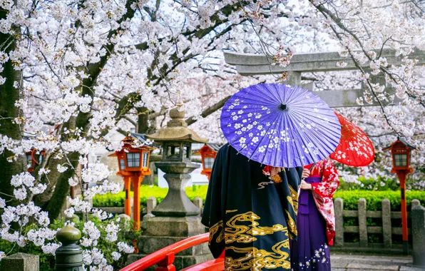Picture bridge, cherry, Japanese, spring, umbrella, Japan, Sakura, Japan