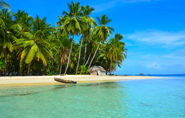 Picture sea, beach, tropics, palm trees, boat, house