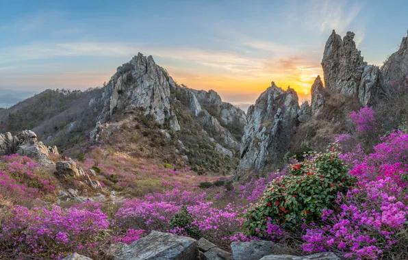 The sky, flowers, mountains, stones, rocks, dawn, the slopes, pink