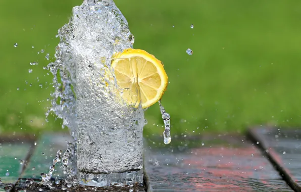 Picture lemon, nature, water, leaf