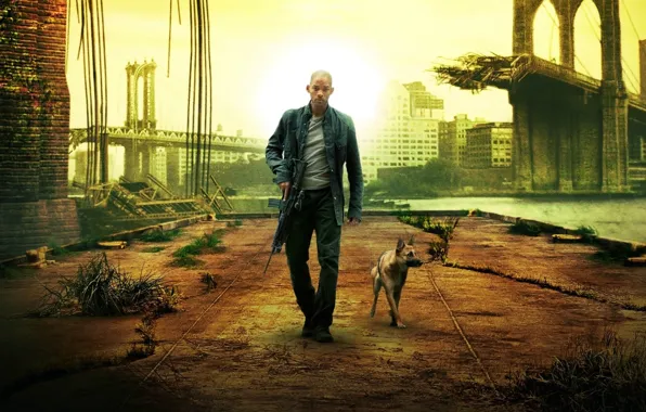 Picture dogs, movies, different, men, I am legend
