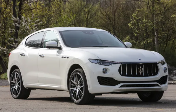 Picture Crossover, Levante, Maserati, white, nature, 2017