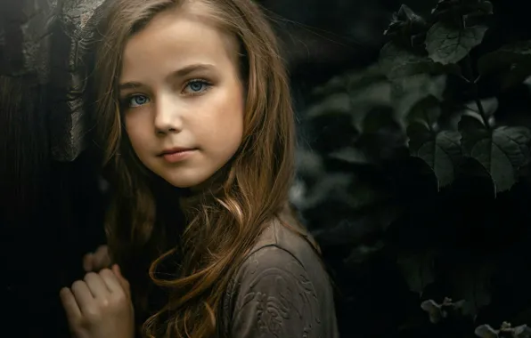 Picture look, portrait, girl, the beauty