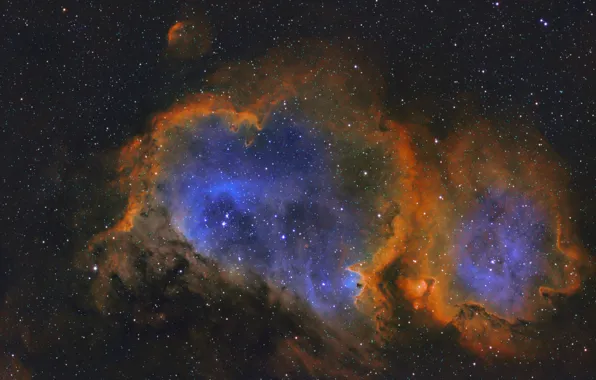 Picture Soul, emission nebula, in the constellation Cassiopeia, IC1848
