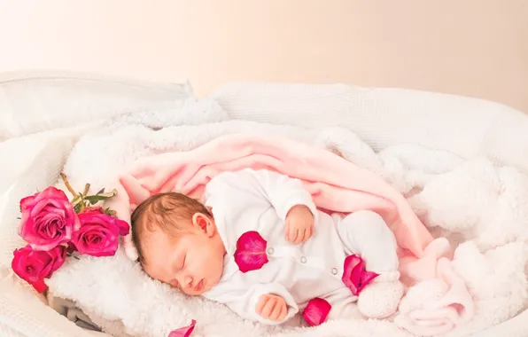 Winter, happiness, heat, roses, petals, baby, sleeping, baby