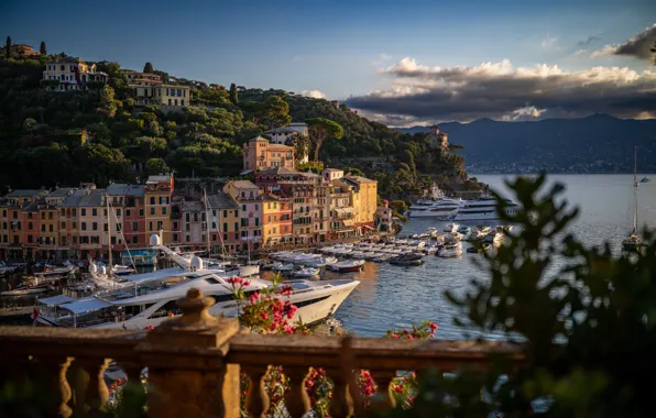 Building, home, yachts, port, Italy, boats, Italy, harbour