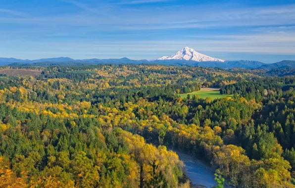 Picture forest, mountains, river