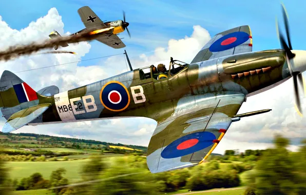 Trees, Spitfire, Supermarine Spitfire Mk.XII, interception, Shrike, Fw.190A, at low altitude, Albion