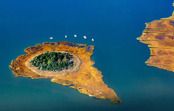 New York, USA, Long Island, Monibok Bay, reedy Island