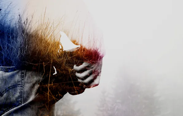 Abstract, field, person