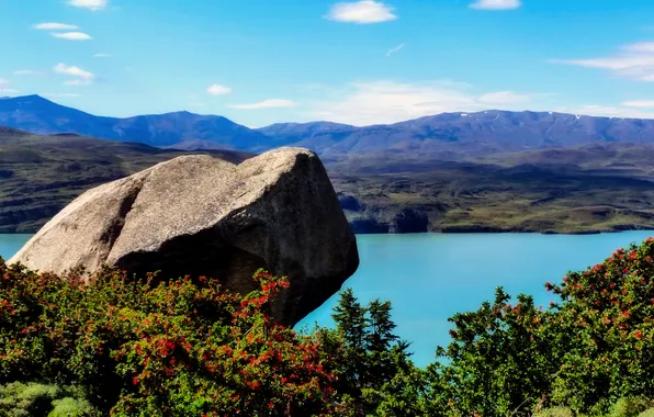 River, shore, stone, the bushes, Argentina, Patagonia