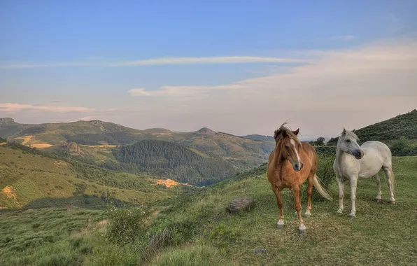 Landscape, mountains, horse
