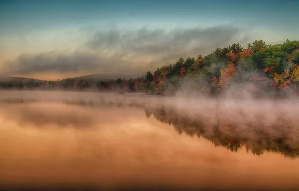 The sky, clouds, trees, fog, lake, reflection, mirror