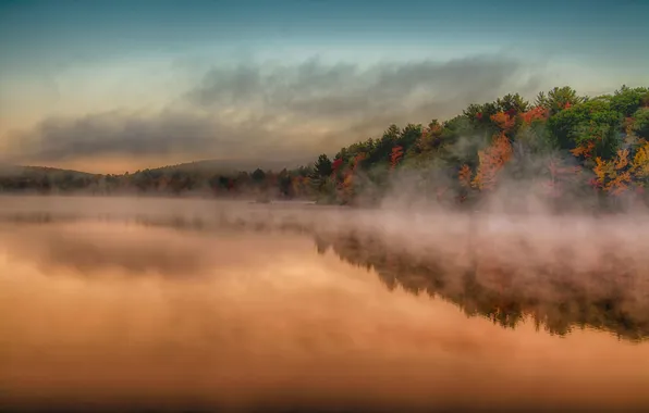 Picture the sky, clouds, trees, fog, lake, reflection, mirror
