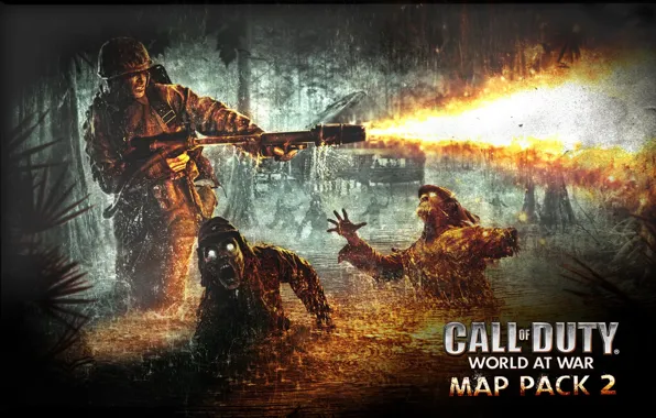 Picture World at War, Nazi Zombies, Call of Duty
