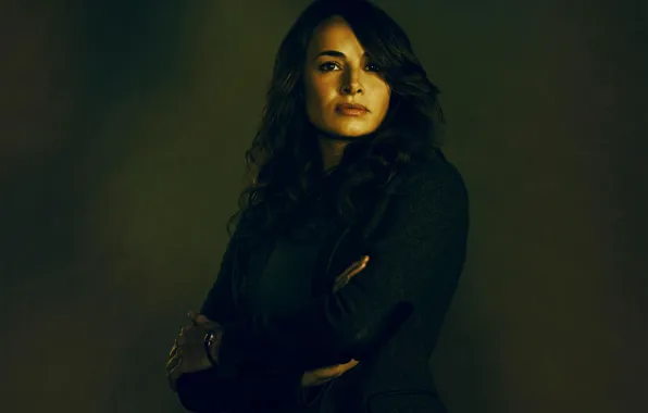 The series, The Strain, MIA Maestro, Strain, Nora Martinez