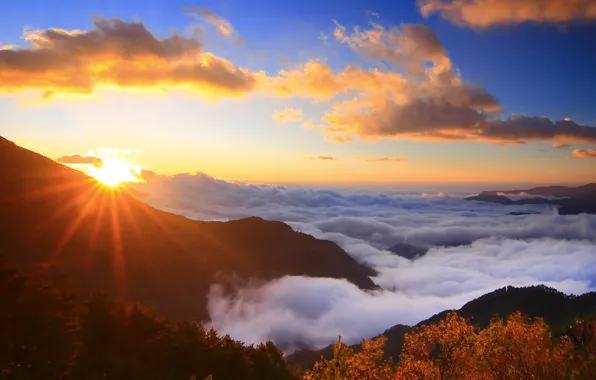 The sky, the sun, clouds, rays, trees, nature, background, tree