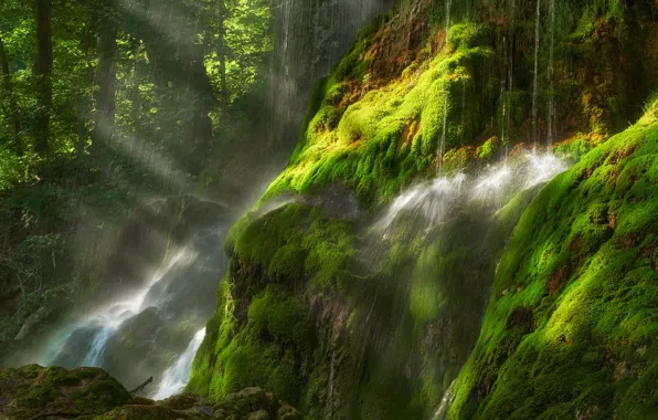 Greens, forest, water, the sun, rays, light, squirt, stones
