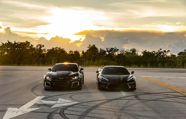 Corvette, Camaro, Black, ZL1