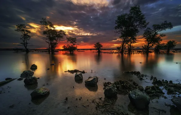 Sea, trees, sunset, stones, horizon, Indonesia