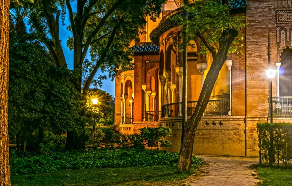 Picture greens, grass, trees, lights, home, the evening, garden, lights