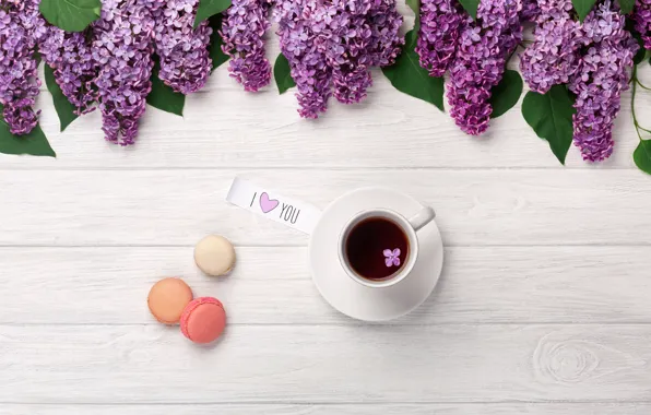 Flowers, flowers, lilac, romantic, coffee cup, macaroons, macaron, lilac