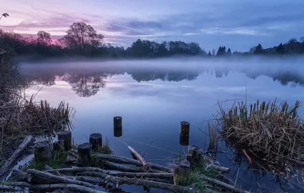 Picture fog, lake, morning