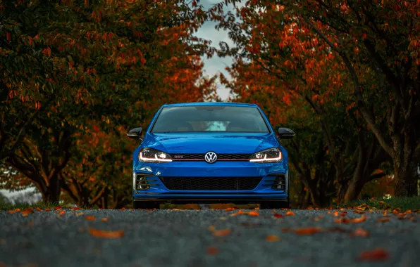 Volkswagen, Blue, Front, Autumn, Golf, VAG