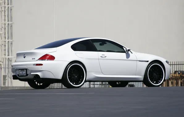 Picture white, bmw, BMW, white, rear view, e63, black rims, black wheels