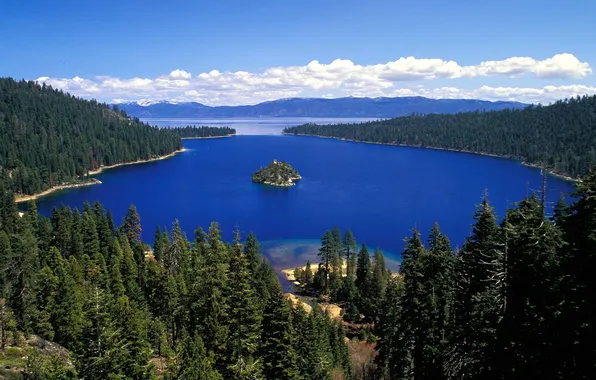 Forest, landscape, nature, lake, island, CA, Lake Tahoe