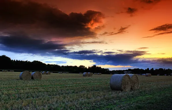 Field, the sky, landscape, sunset, hay