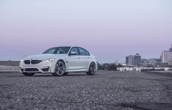 BMW, White, F80