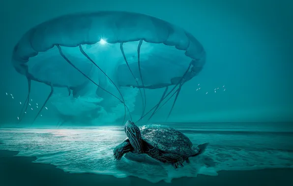HORIZON, The OCEAN, SAND, TURTLE, SHORE, PACK, BIRDS, MEDUSA