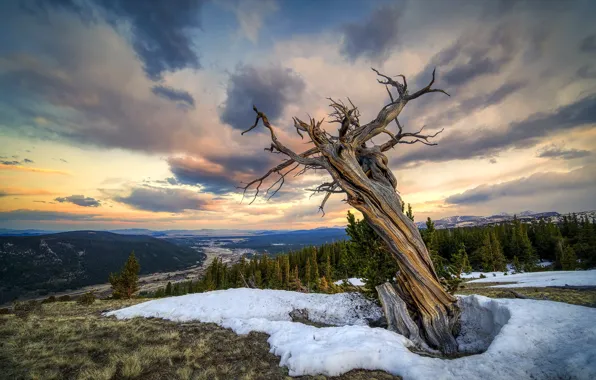 Picture United States, Colorado, Clear Creek