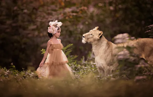 Nature, animal, predator, dress, girl, outfit, lioness