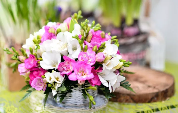 Picture flowers, bouquet, freesia
