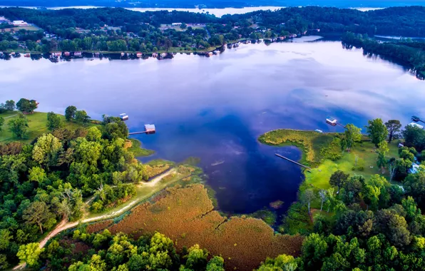 Picture trees, lake, house, USA, the view from the top, Alabama, Guntersville