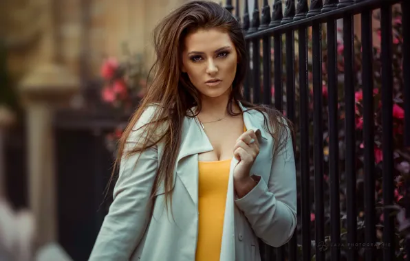 Picture look, pose, model, the fence, portrait, makeup, hairstyle, brown hair