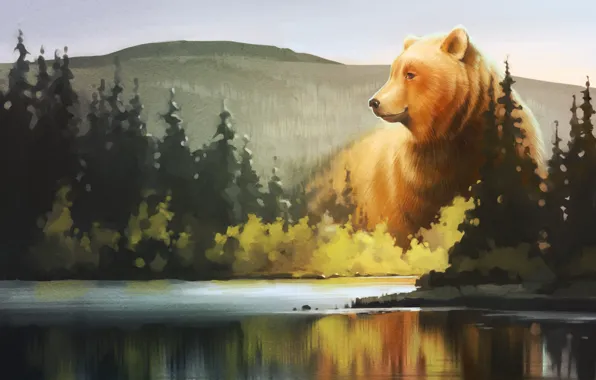 Picture forest, lake, bear