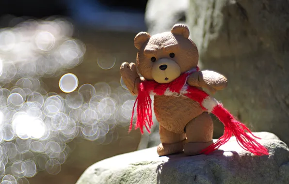 Background, toy, bear, scarf