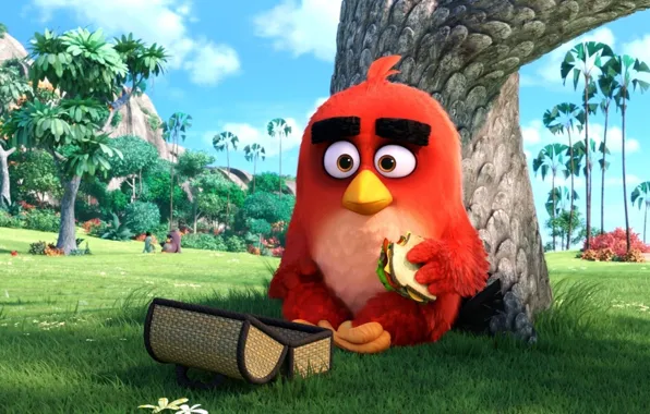 Cinema, animation, red, grass, Red, game, nature, bird