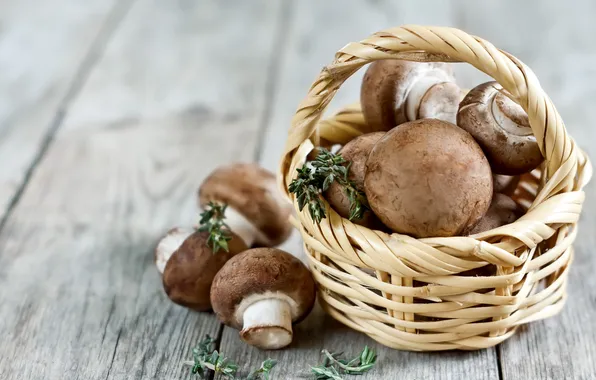 Mushrooms, basket, Portabello