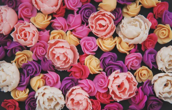 Picture flowers, background, roses, colorful, pink, flowers, roses