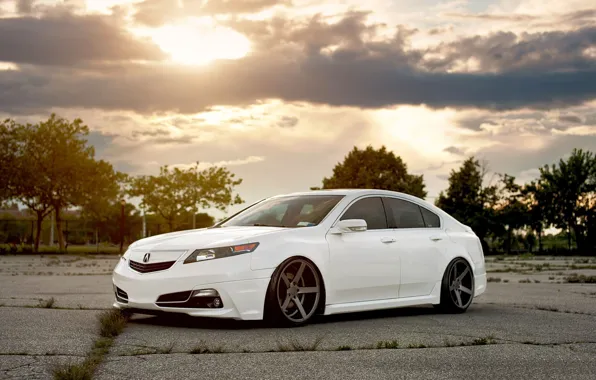 White, honda, Honda, accord, chord, acura, Acura, tsx
