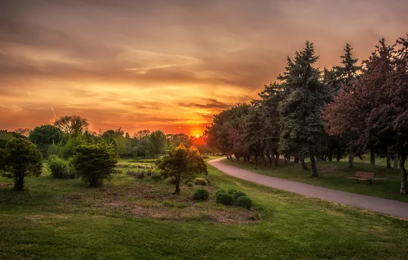 The sky, the sun, trees, Park, dawn, Canada, benches, Ontario