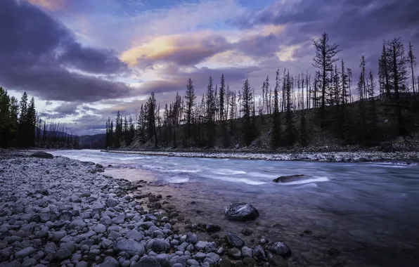 Picture nature, river, shore
