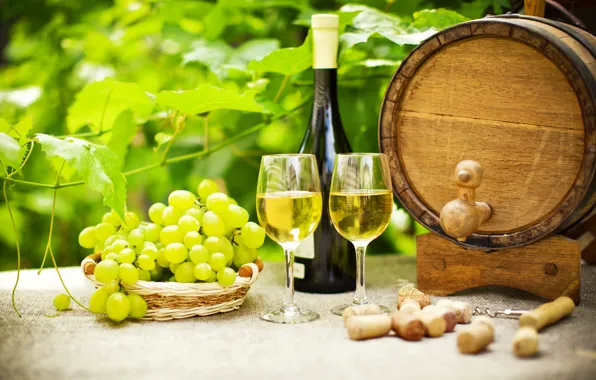 Picture greens, table, wine, bottle, garden, glasses, grapes, tube