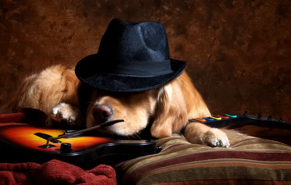 Picture each, guitar, dog, hat