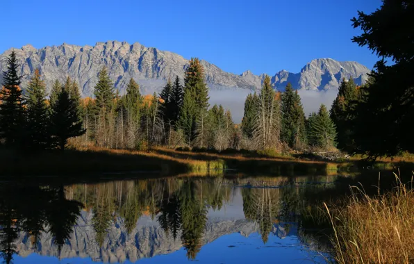 Picture autumn, trees, mountains, river, Wyoming, USA, Grand Teton, Grand Teton National Park